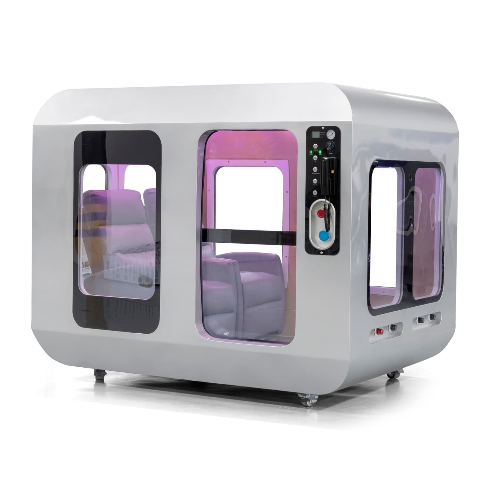 Cover image for Neuroplasticity, Mood & Cognitive Edge